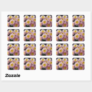 Chrysanthemum Flower Colourful Blossom Decoration  Square Sticker