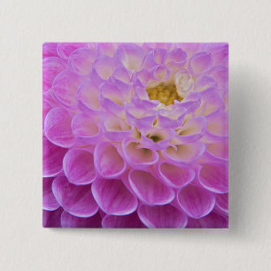 Chrysanthemum flower decorating grave site in 15 cm square badge