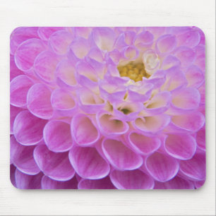 Chrysanthemum flower decorating grave site in mouse mat