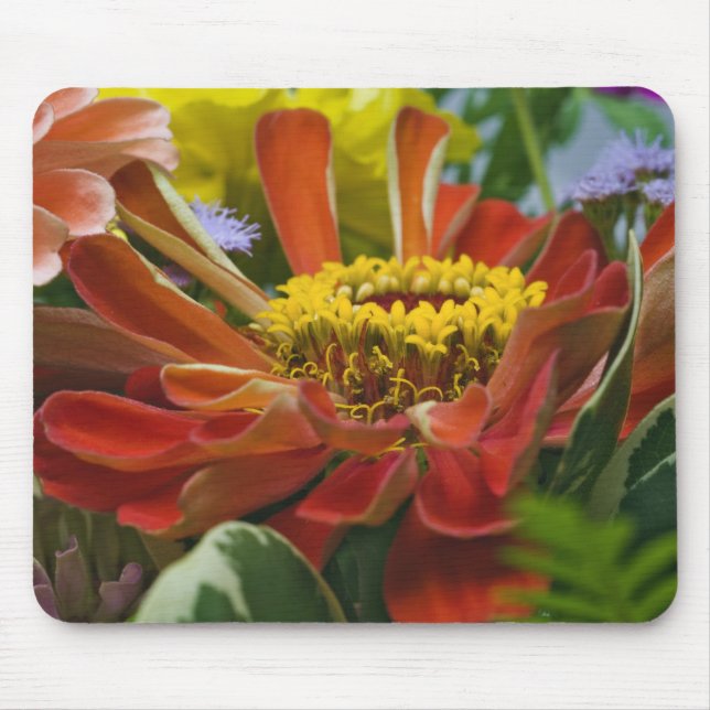 Chrysanthemum flower mouse mat (Front)
