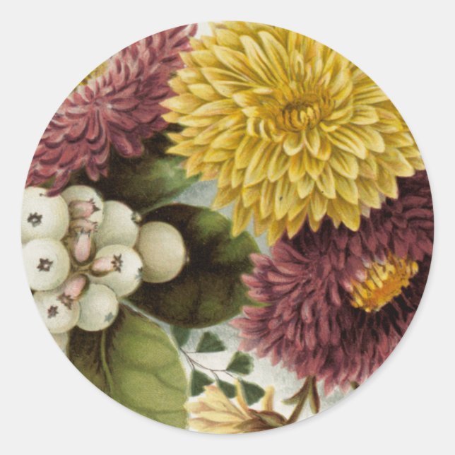Chrysanthemum Flower Mum Floral Classic Round Sticker (Front)