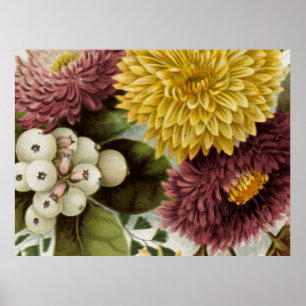 Chrysanthemum Flower Mum Floral Poster