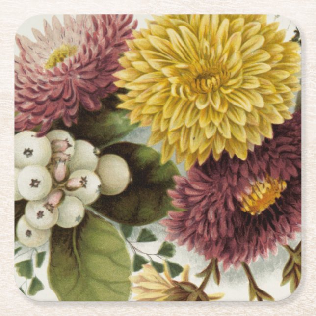 Chrysanthemum Flower Mum Floral Square Paper Coaster (Front)