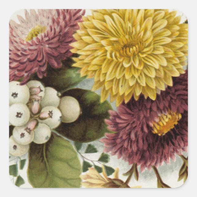 Chrysanthemum Flower Mum Floral Square Sticker (Front)