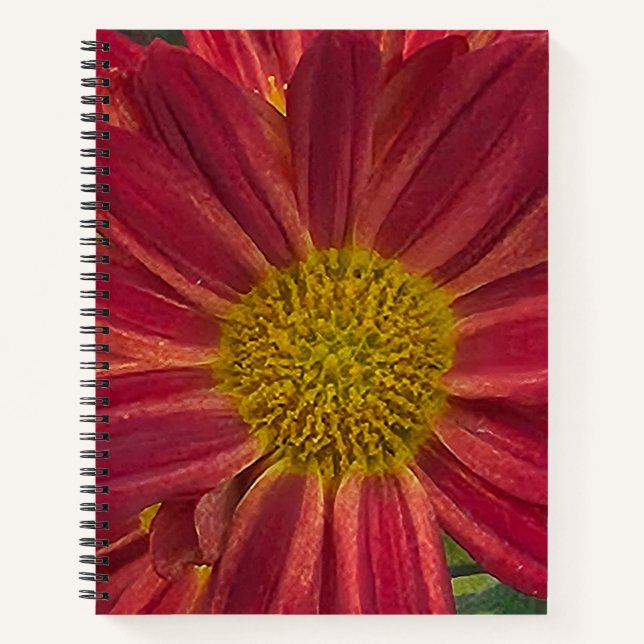 Chrysanthemum Flower Notebook (Front)