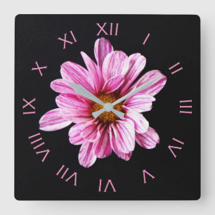 Chrysanthemum Flower Pink Roman Numbers wccn Square Wall Clock