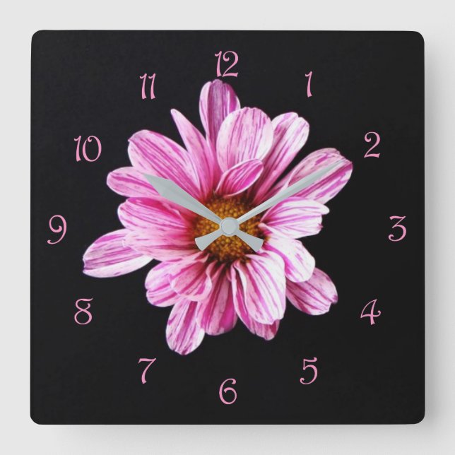 Chrysanthemum Flower Pink Script Numbers wccna Square Wall Clock (Front)