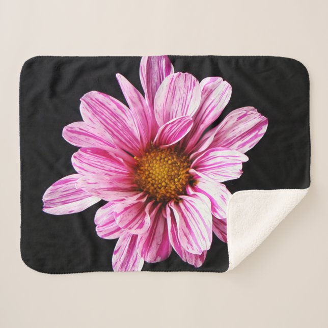 Chrysanthemum Flower sbcna Sherpa Blanket (Front (Horizontal))