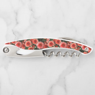 Chrysanthemum flowers corkscrew