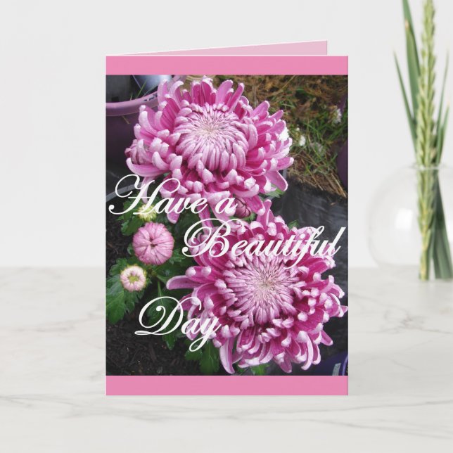 Chrysanthemum Flowers Have a Beautiful Day Card (Front)