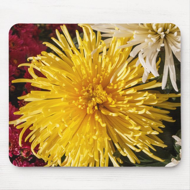 Chrysanthemum flowers mouse mat (Front)