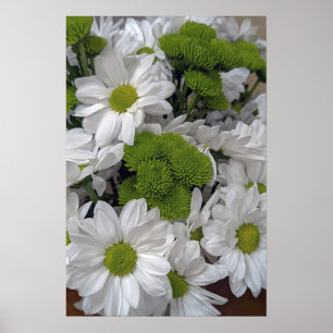 Chrysanthemum flowers Poster
