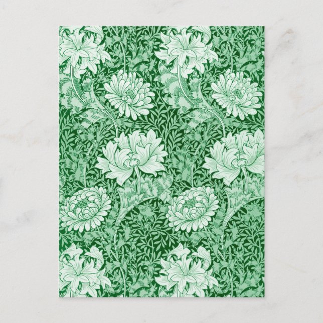 Chrysanthemum Green, William Morris Postcard (Front)