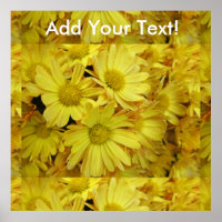 Chrysanthemum Group Plant Yellow