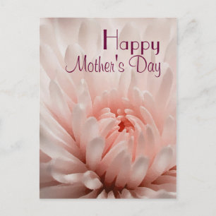 Chrysanthemum  - Happy Mother's Day Customised Postcard
