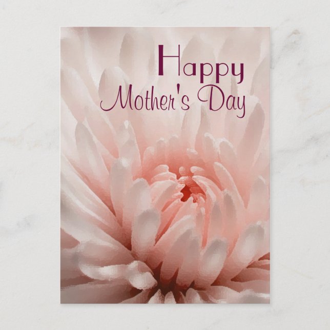 Chrysanthemum  - Happy Mother's Day Customised Postcard (Front)