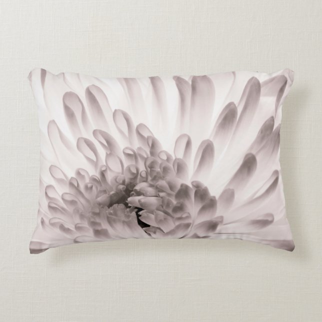 Chrysanthemum in full bloom. Close up macro of flo Decorative Cushion (Front)