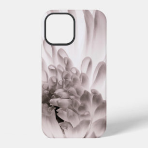 Chrysanthemum in full bloom. Close up macro of flo iPhone 12 Case