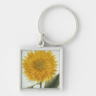 Chrysanthemum Indicum from 'Pythanthoza Iconograph Key Ring