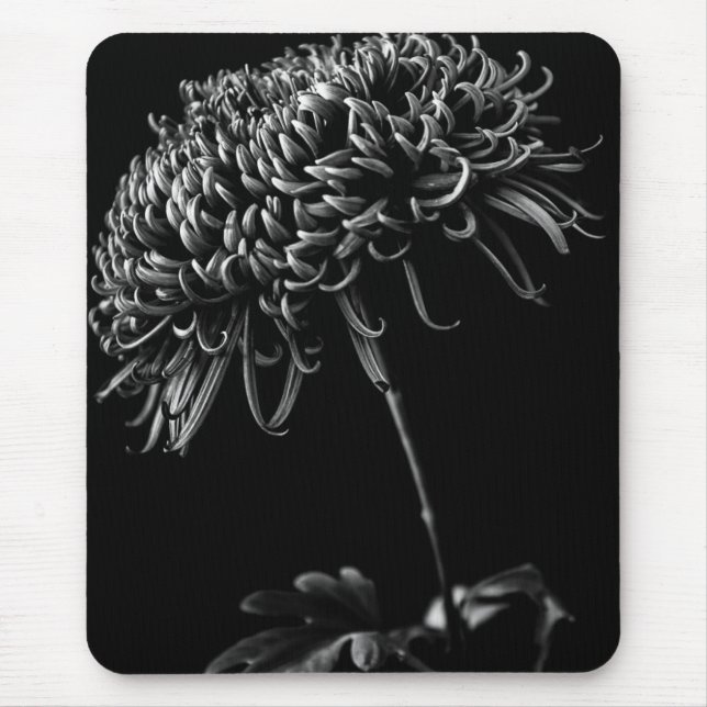 Chrysanthemum Mouse Mat (Front)