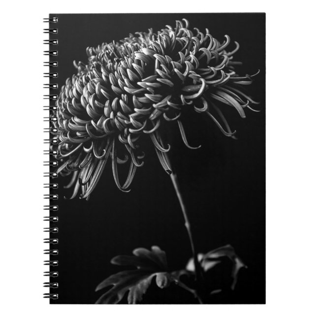 Chrysanthemum Notebook (Front)