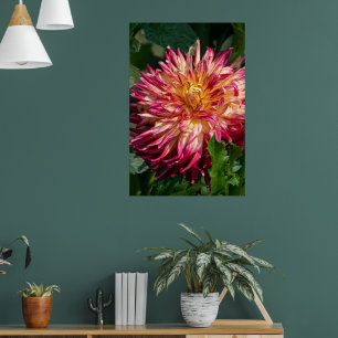 Chrysanthemum Orange Canadian Flower Photography Poster