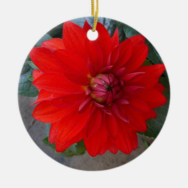 Chrysanthemum Ornament (Front)