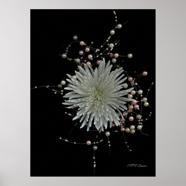Chrysanthemum & Pearls Poster (Front)