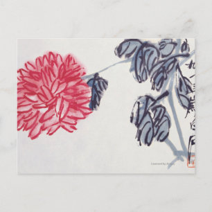 Chrysanthemum Postcard