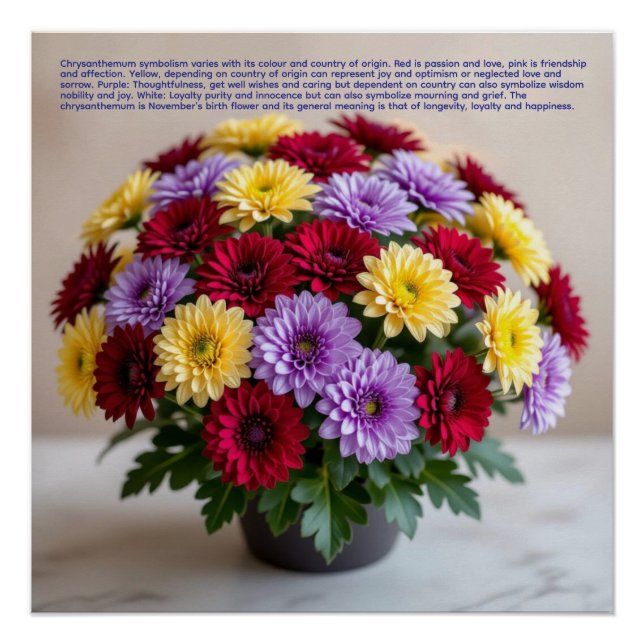 Chrysanthemum Symbolism Poster (Front)