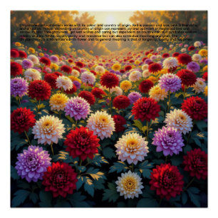 Chrysanthemum Symbolism Poster