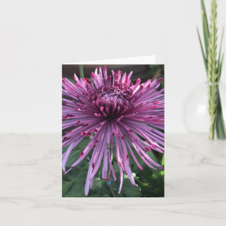 Chrysanthemum Thank You Card