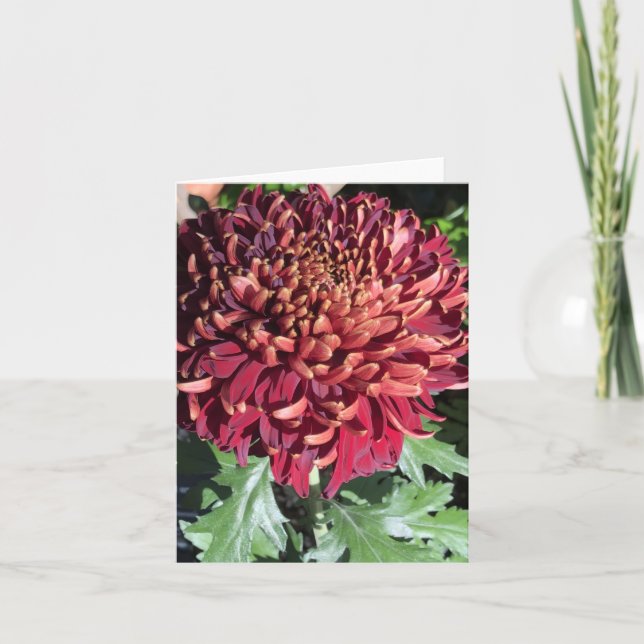 Chrysanthemum Thank You Card (Front)