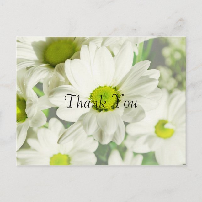 Chrysanthemum Thank You Postcard (Front)