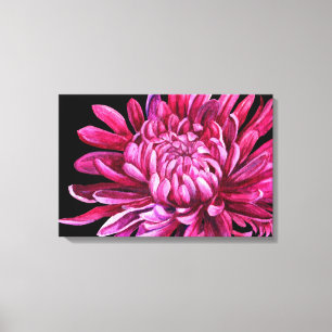 Chrysanthemum "the opening" canvas print black