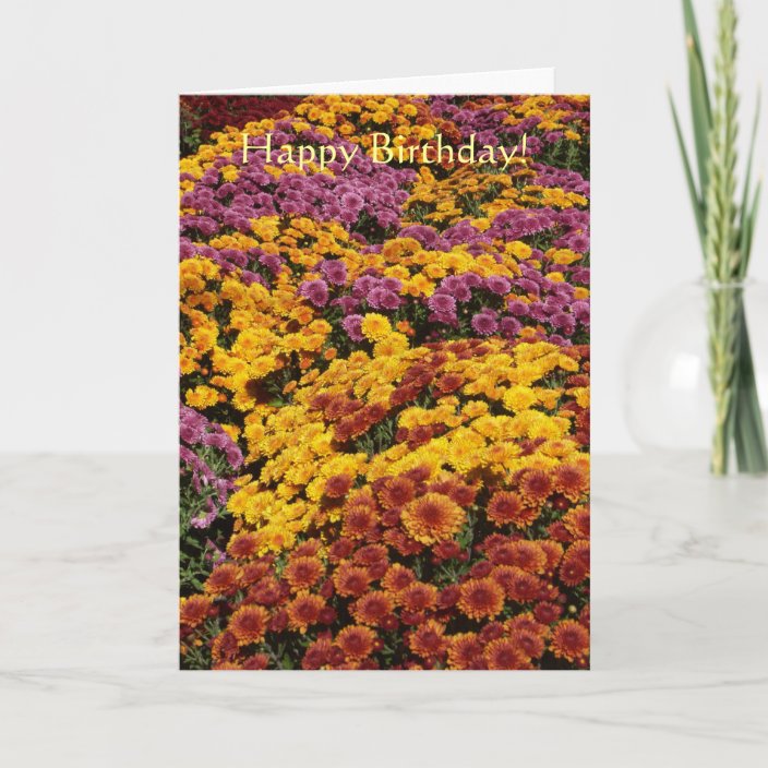 Chrysanthemums Birthday card | Zazzle.co.uk