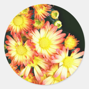 Chrysanthemums Classic Round Sticker