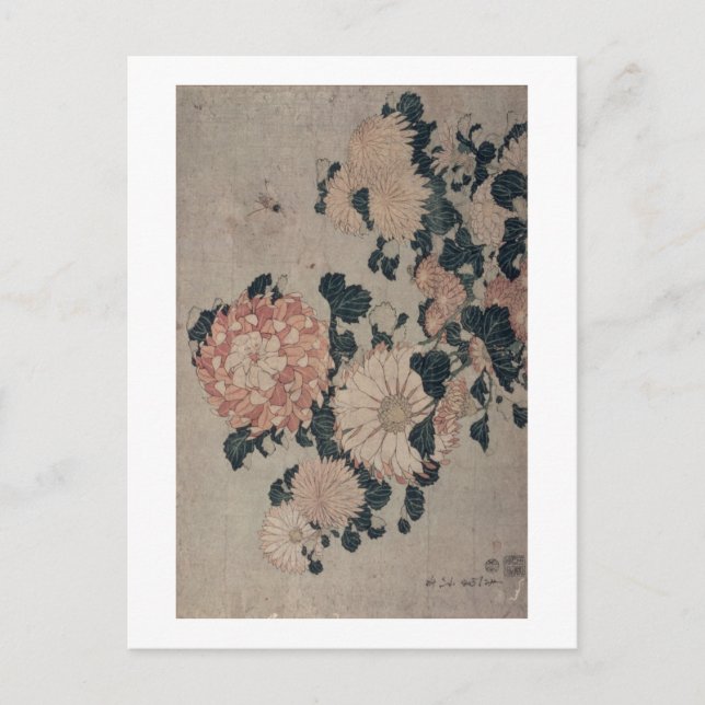 Chrysanthemums (colour woodblock) postcard (Front)