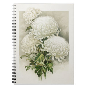 Chrysanthemums – Elegant Vintage Botanical Notebook