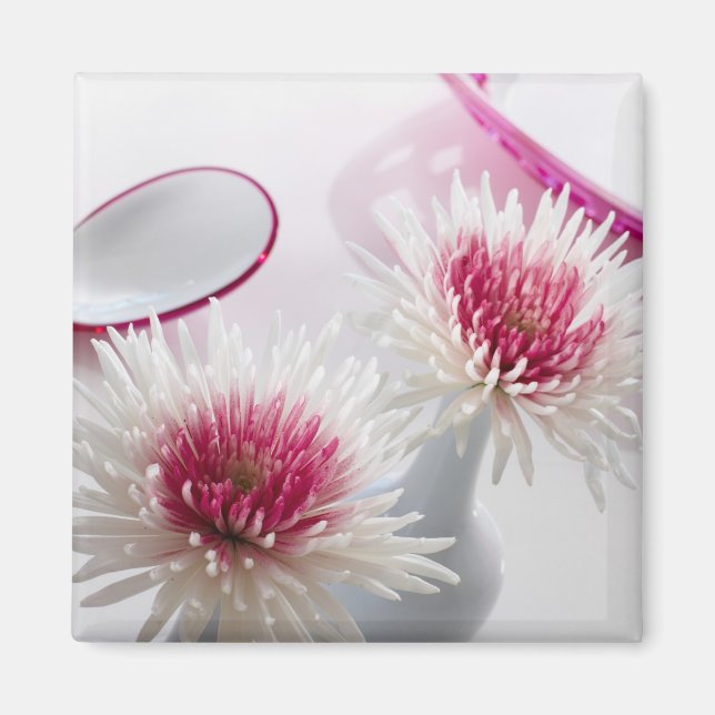 Chrysanthemums Magnet (Front)