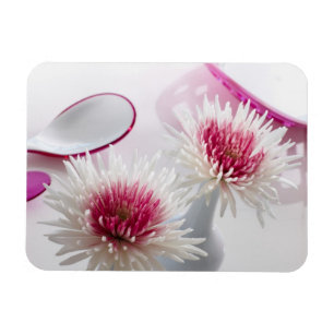 Chrysanthemums Magnet