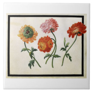 Chrysanthemums (w/c on paper) tile