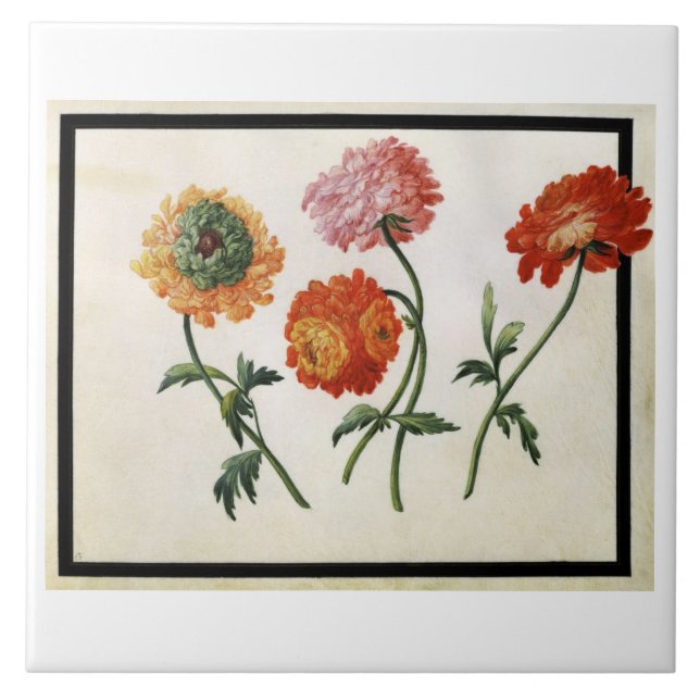 Chrysanthemums (w/c on paper) tile (Front)