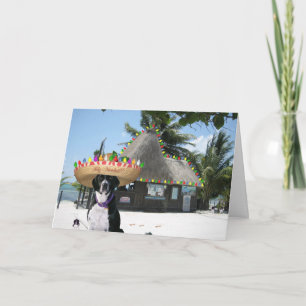 Chrysie's Mexican Christmas Holiday Card