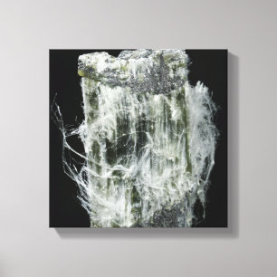 Chrysotile or White Asbestos Canvas Print
