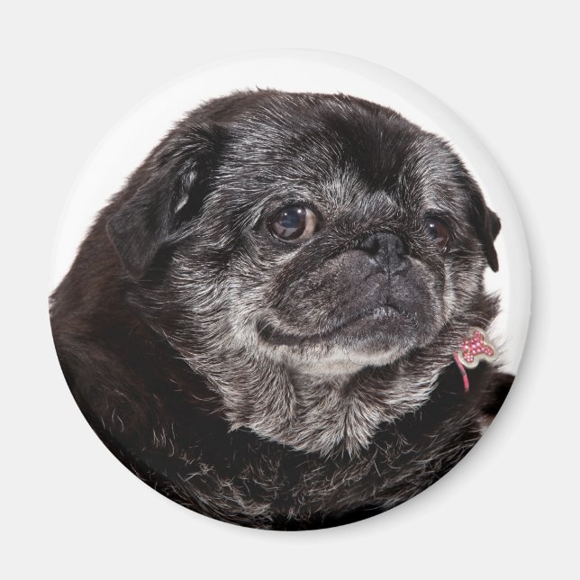 Chubbs The Wampug Magnet (Front)