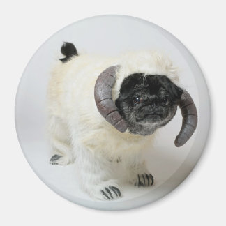 Chubbs The Wampug Magnet