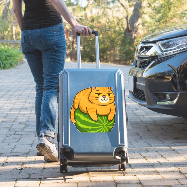 Chubby Cat on Watermelon Meme Shirt (Suitcase Insitu)