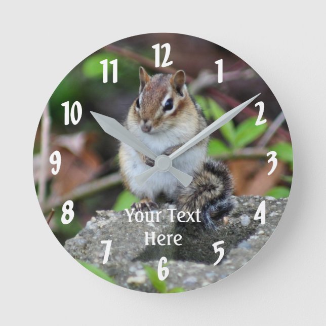 Chubby Chipmunk Sitting Animal Personalized Round Clock (Front)