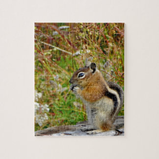 Chubby cute chipmunk on  on wood stump jigsaw puzzle